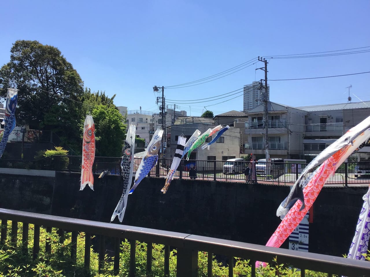 20220503kanonbashi_koinobori02