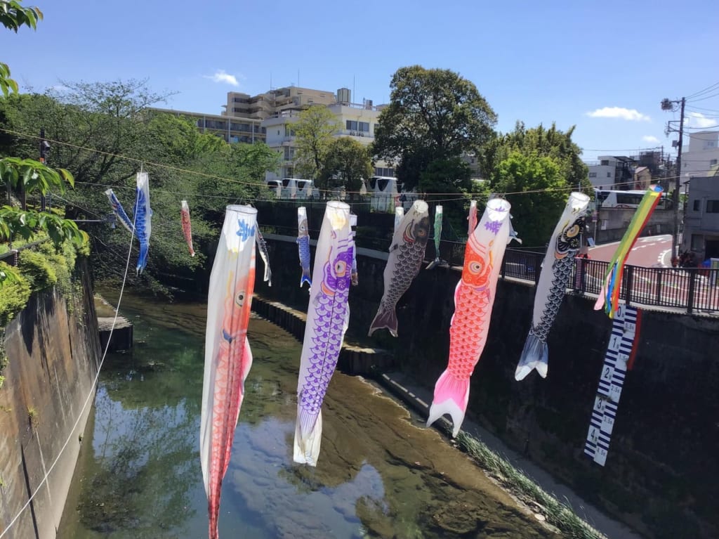 20220503kanonbashi_koinobori03