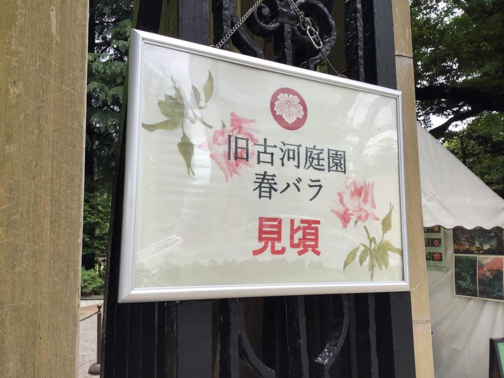 20230508kyuuhurukawa00