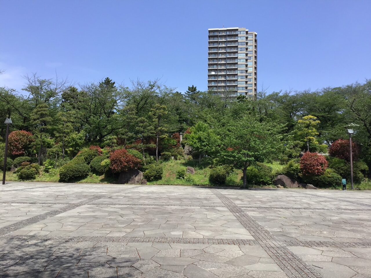 20250427_asukayamakouen03