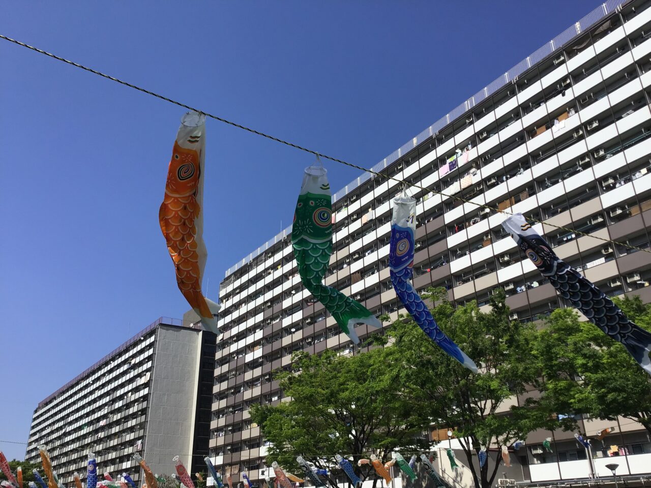 20250430_toshima5_03