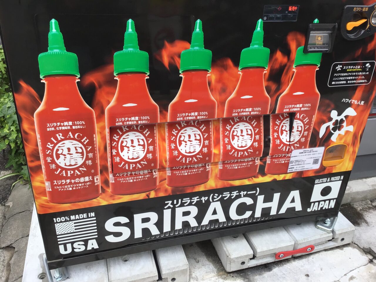 20250512_sriracha03