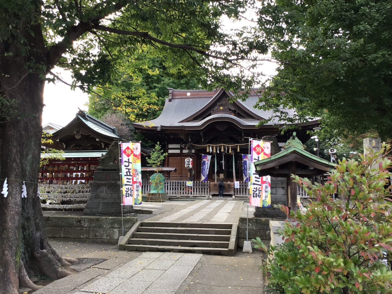 20251109_1108_01_takinogawahachiman01