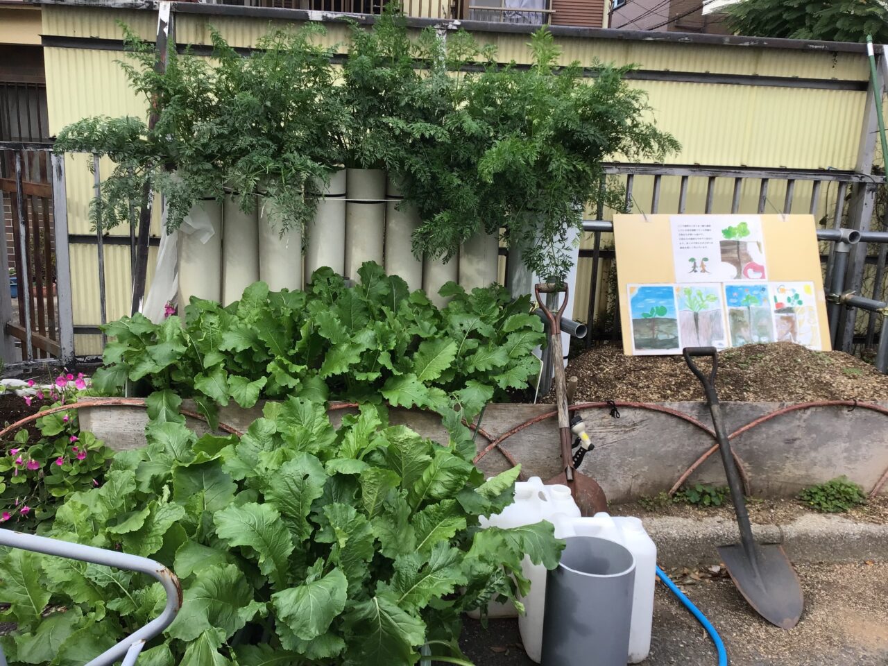 20251109_1108_01_takinogawahachiman03