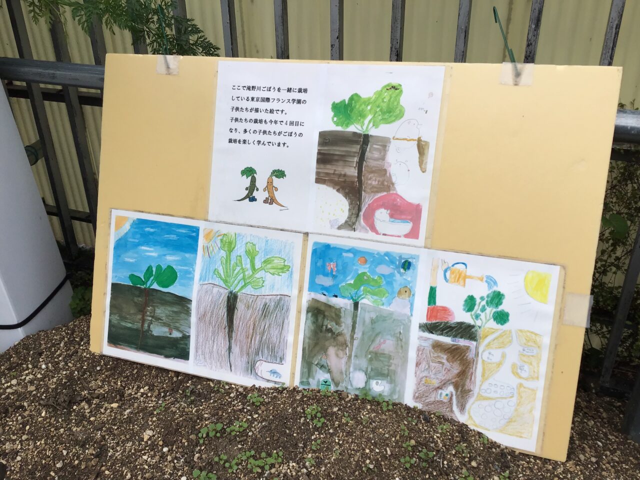 20251109_1108_01_takinogawahachiman04