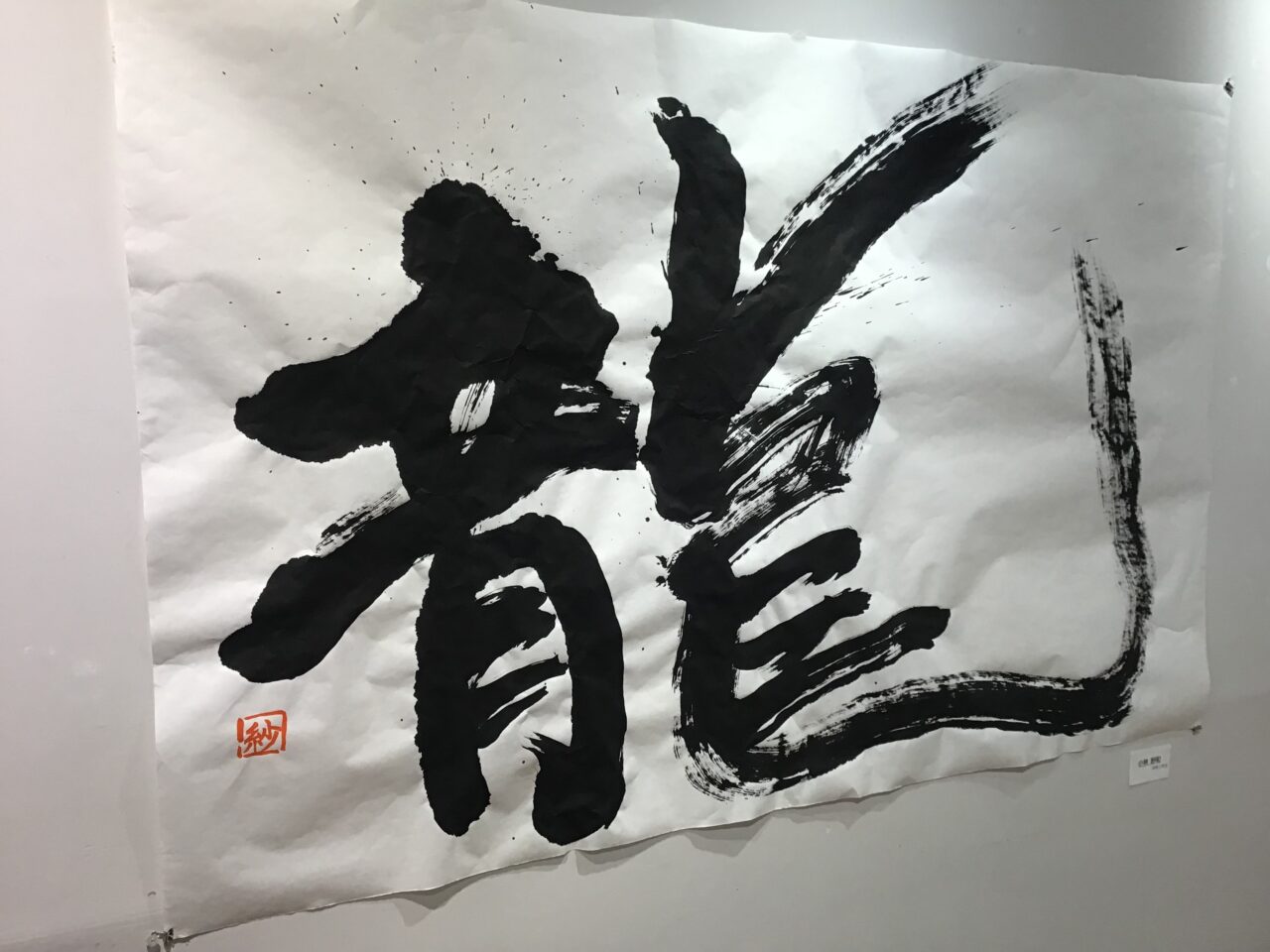 20251208_20240212_cocokita04