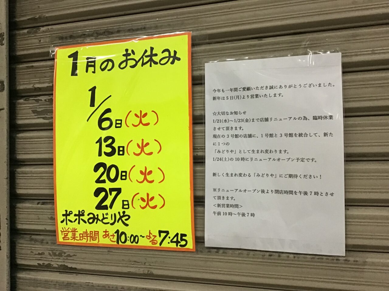 20260105_08_0101_midoriya04