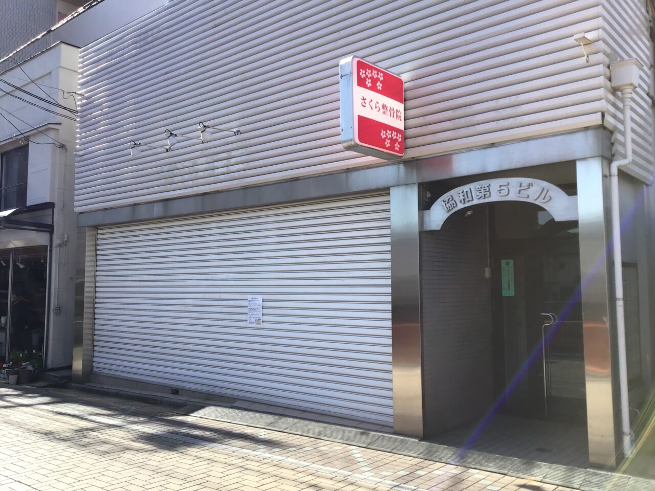 20260115_0113_sakura01