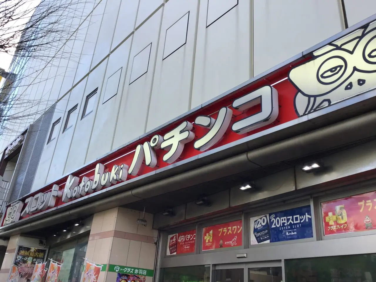 20260118_05_0113_yashinomi01