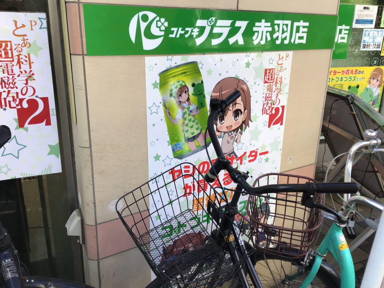 20260118_05_0113_yashinomi05