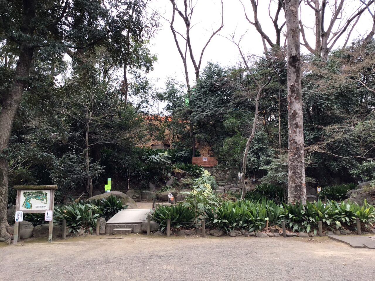 20260122_02_0120_nanushi03