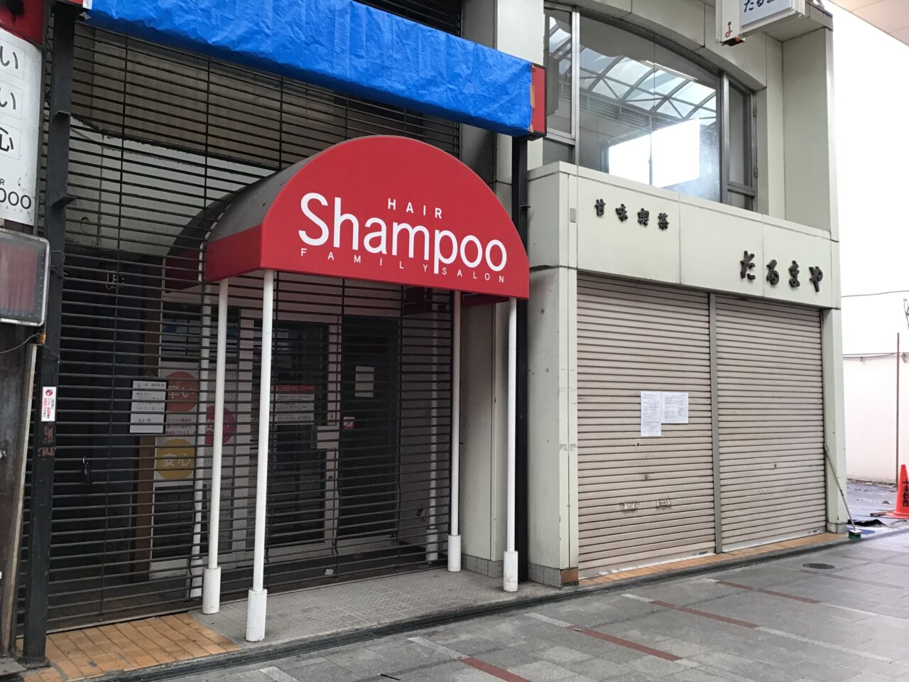 20260224_02_darumaya01