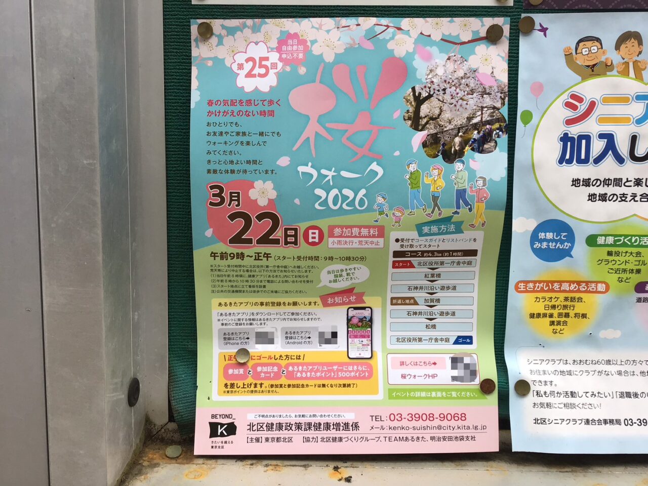 20260302_01_sakurawalk01