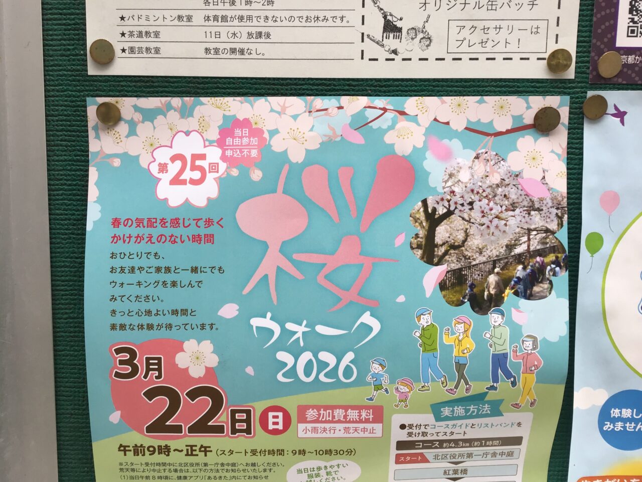20260302_01_sakurawalk02