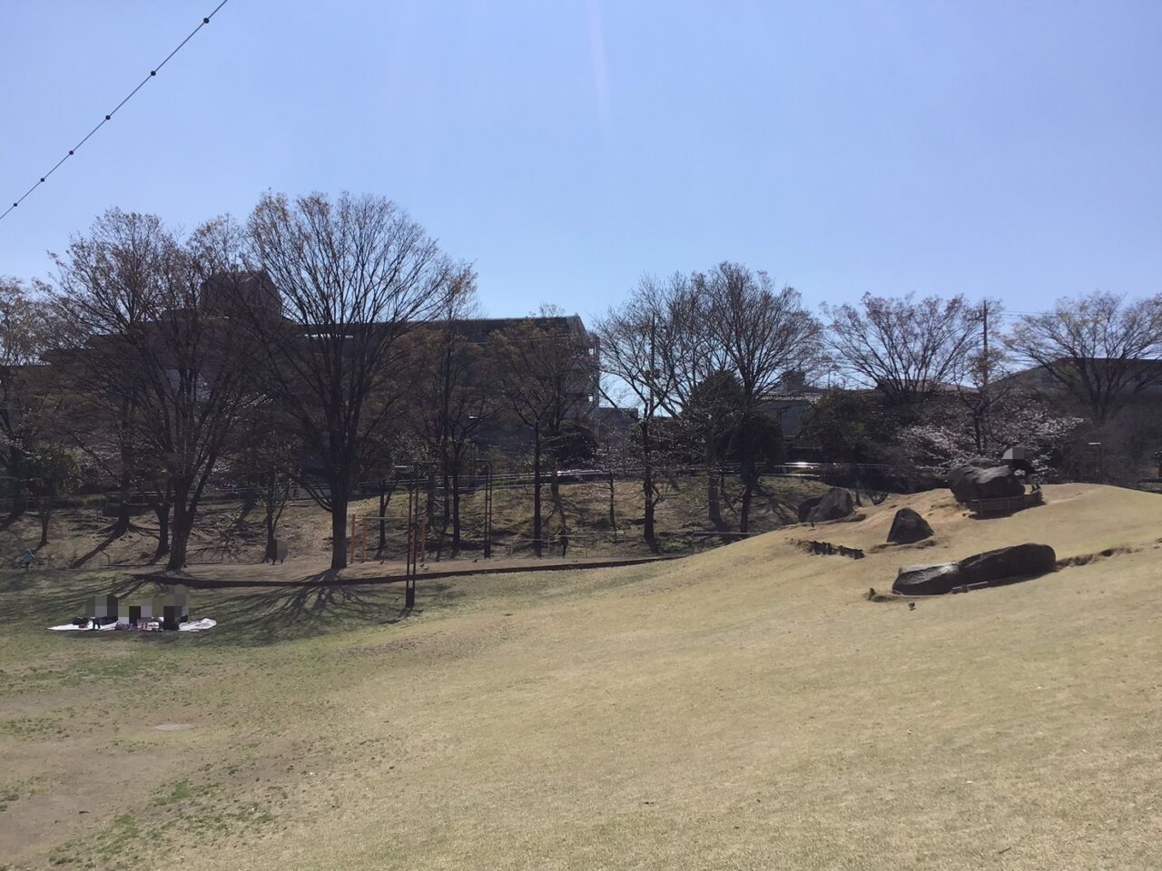 20260325_0324_02_shimizuzaka01