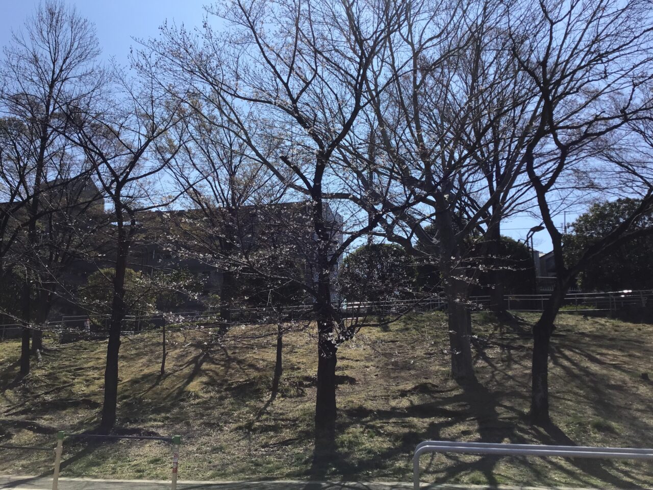 20260325_0324_02_shimizuzaka02