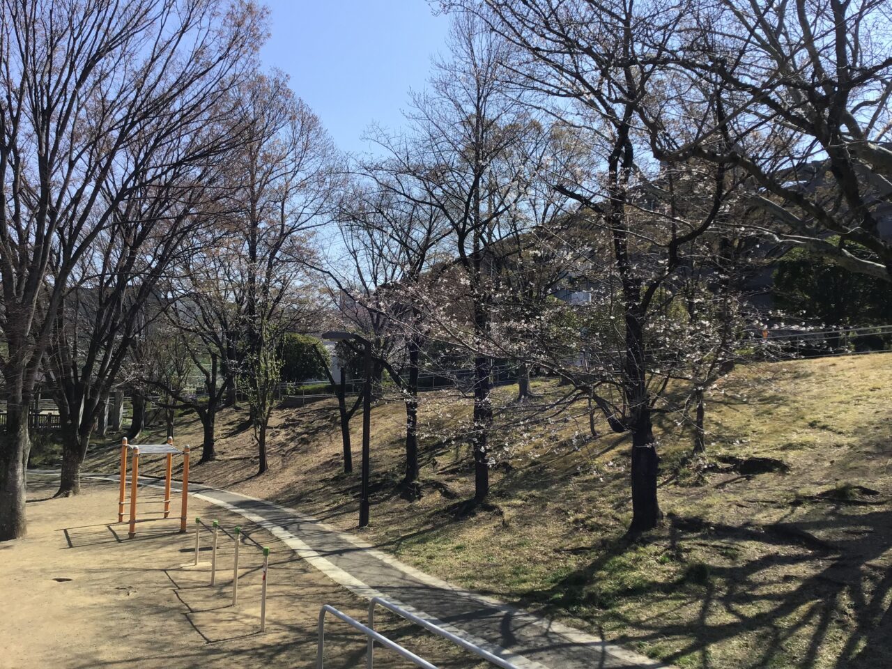 20260325_0324_02_shimizuzaka04