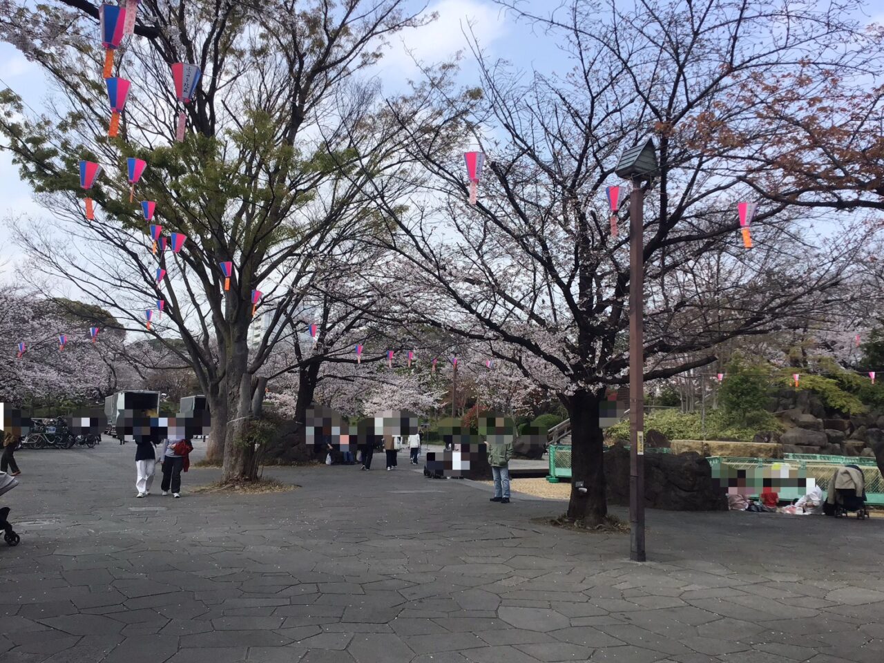 20260331_0330_04_asukayama_sakura_01