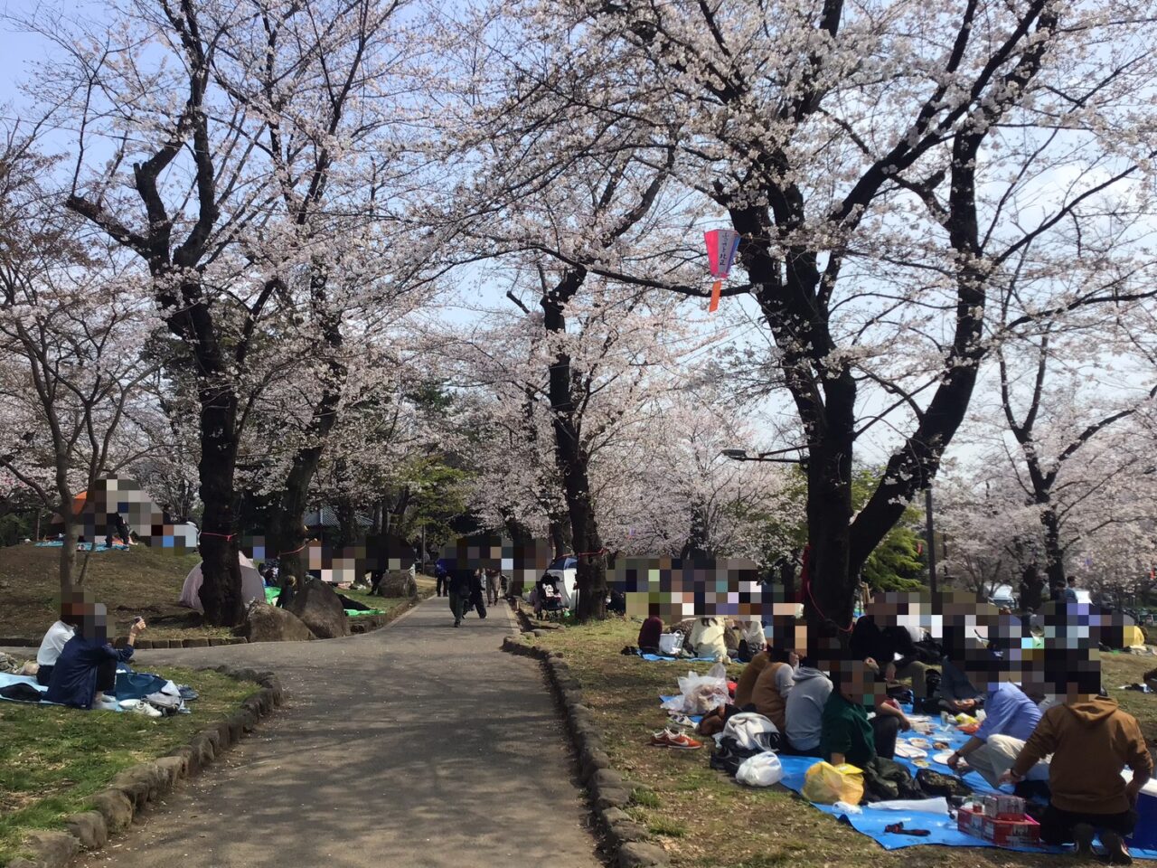 20260331_0330_04_asukayama_sakura_06