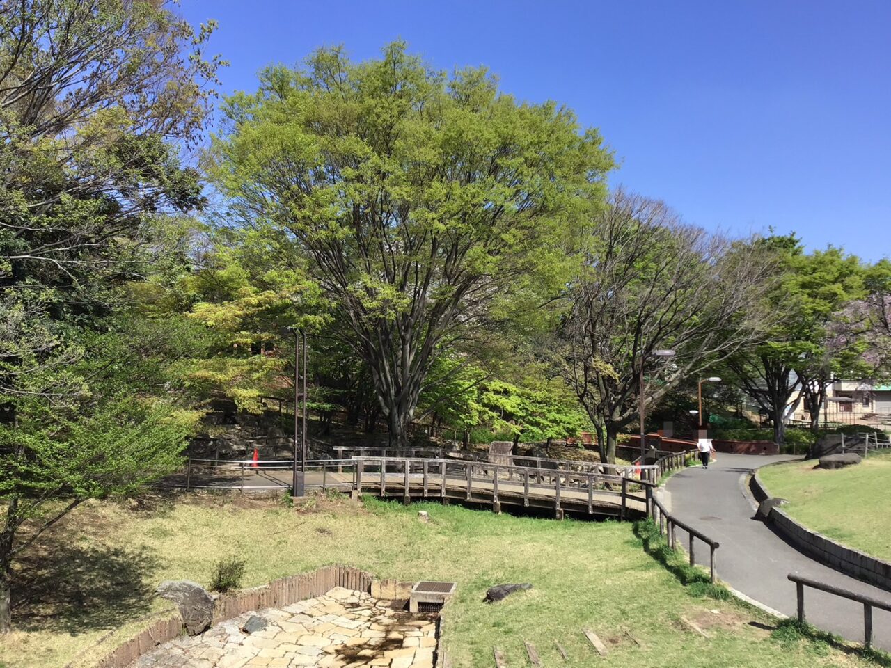 20260407_0406_01_shimizuzaka01