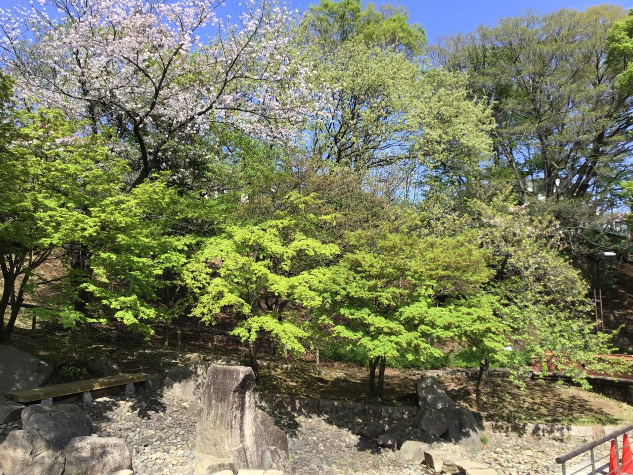 20260407_0406_01_shimizuzaka02