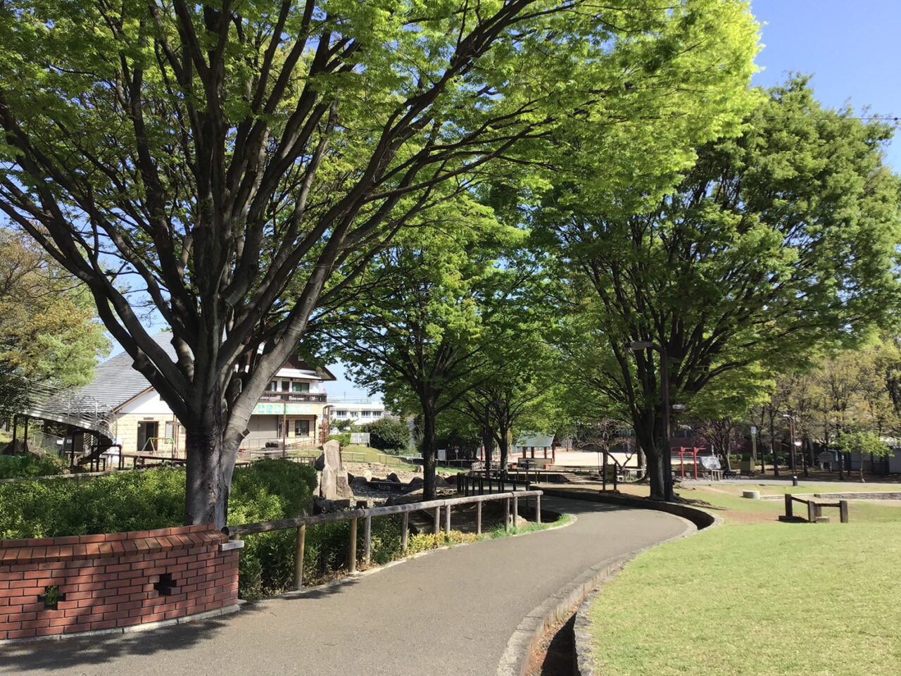 20260407_0406_01_shimizuzaka03