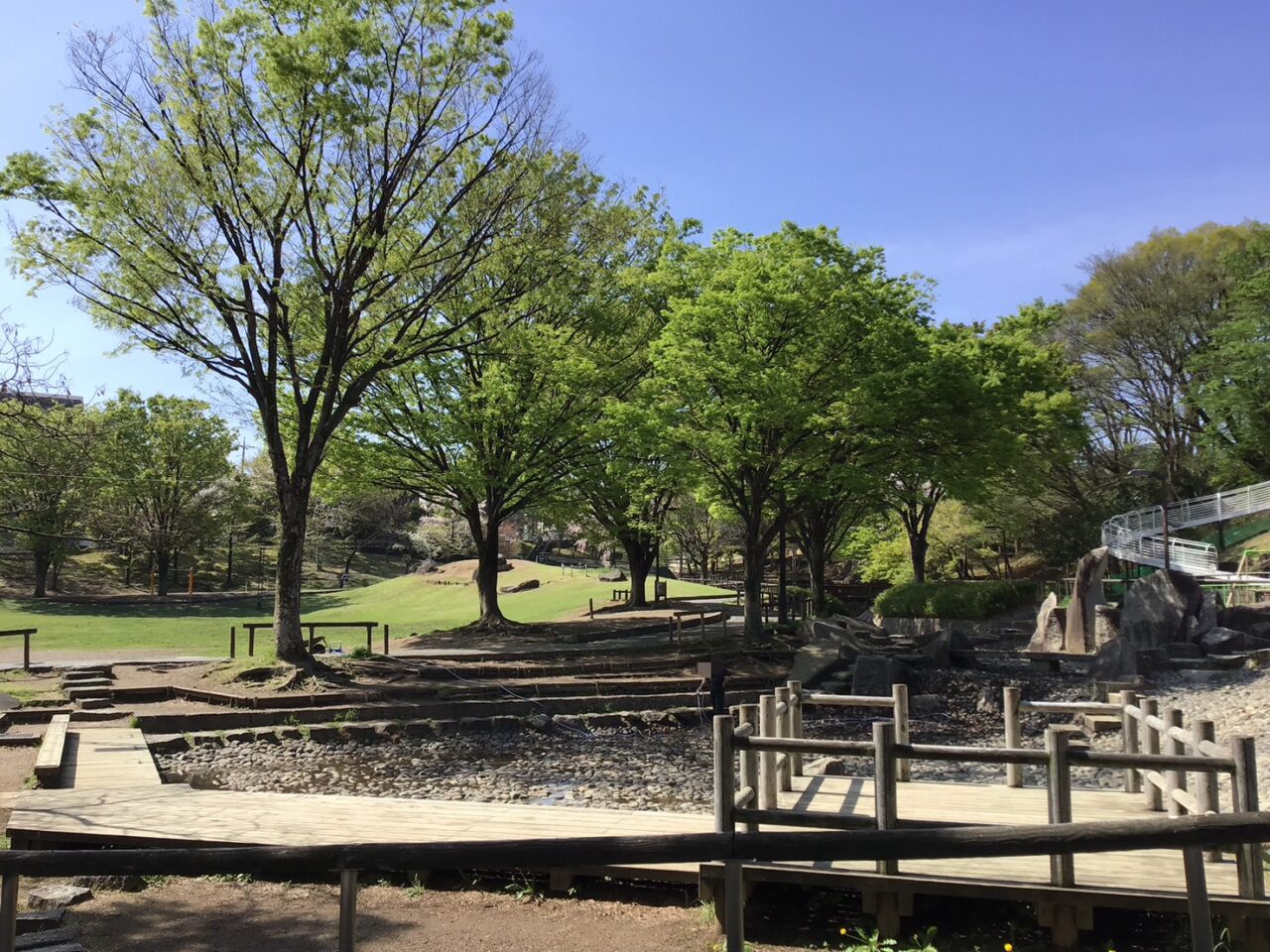 20260407_0406_01_shimizuzaka04