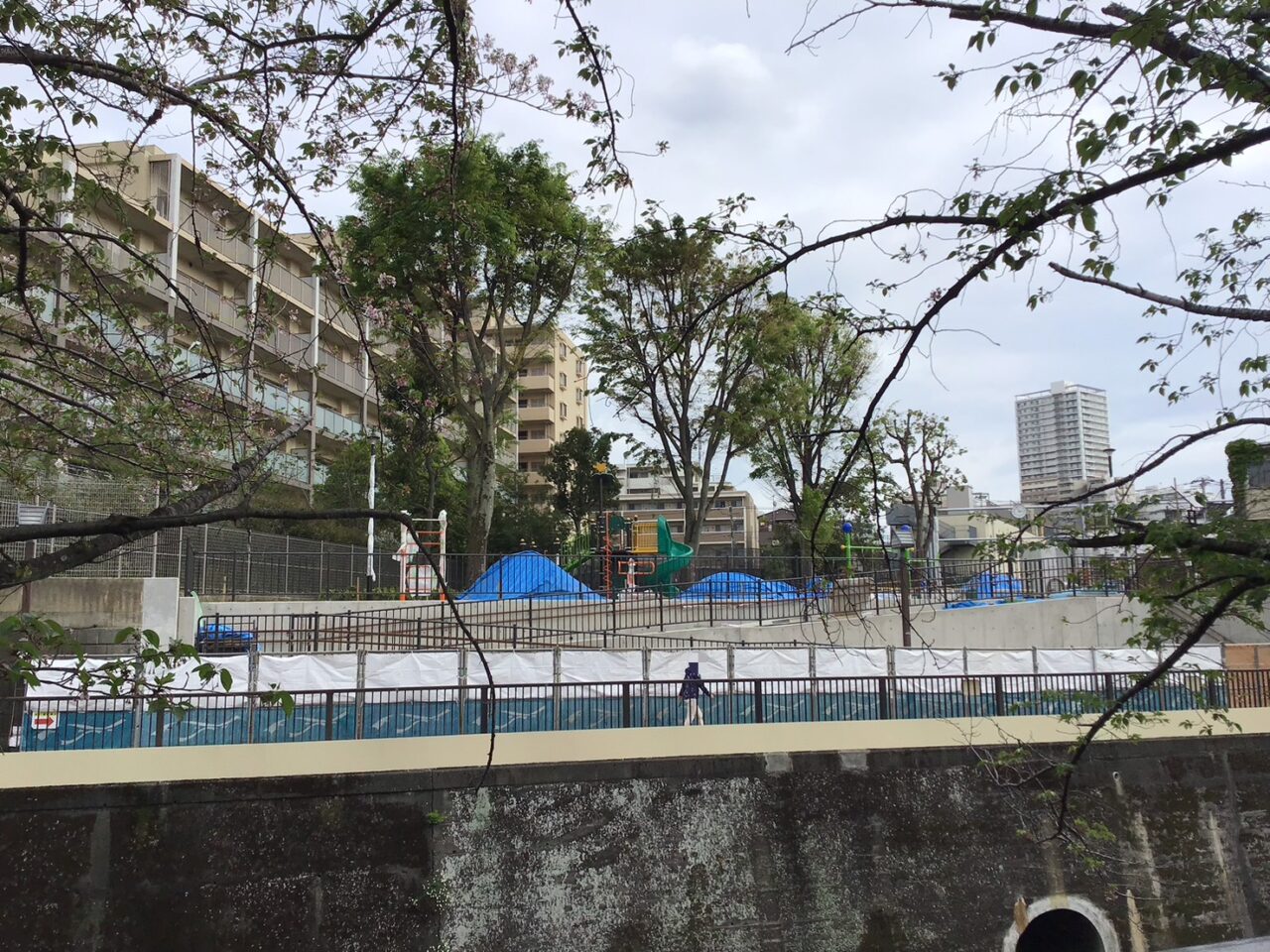 20260416_takinogawahashi01