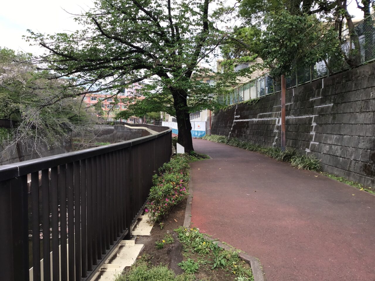 20260416_takinogawahashi03