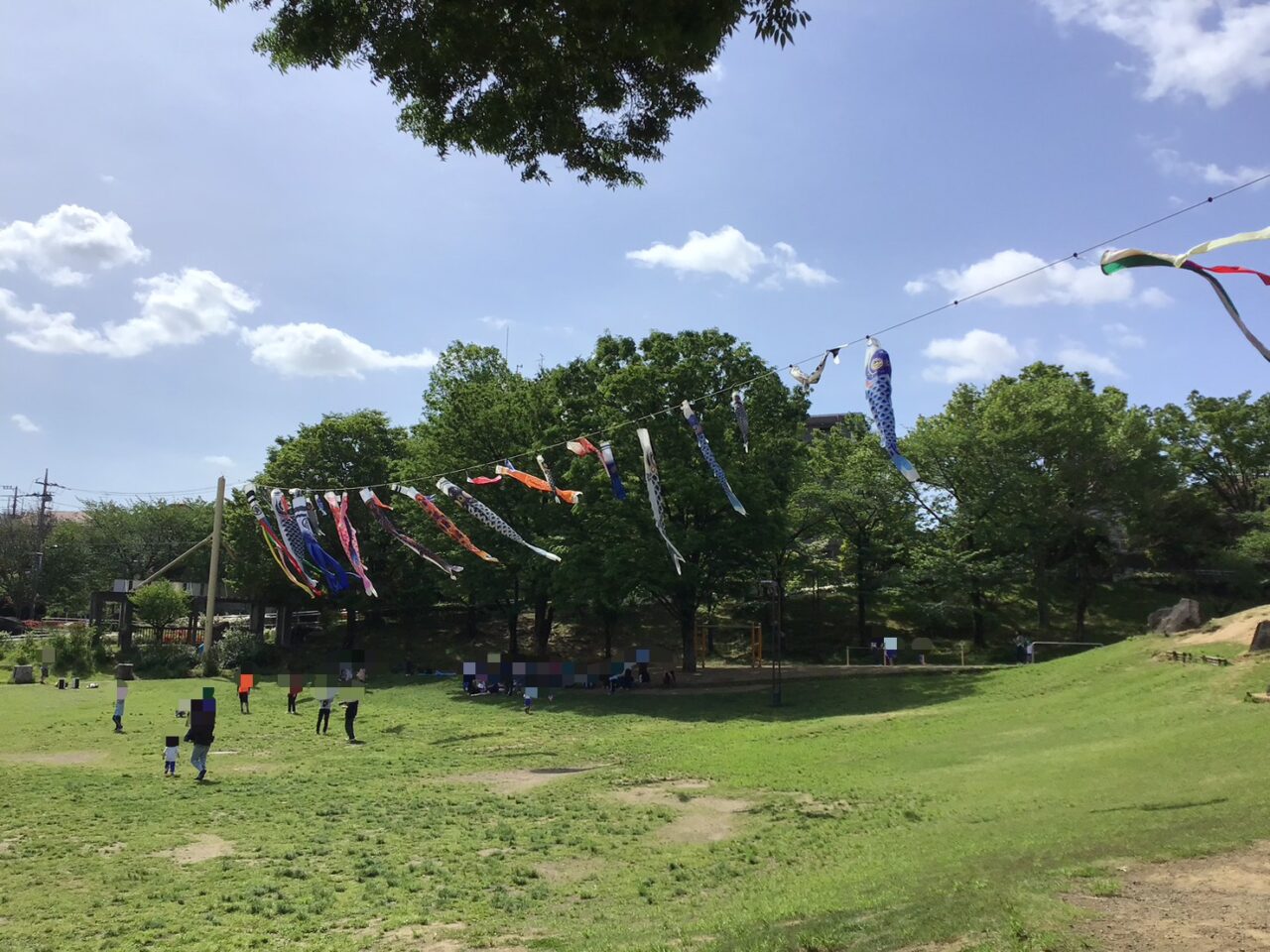 20260423_05_0422_shimizuzaka01