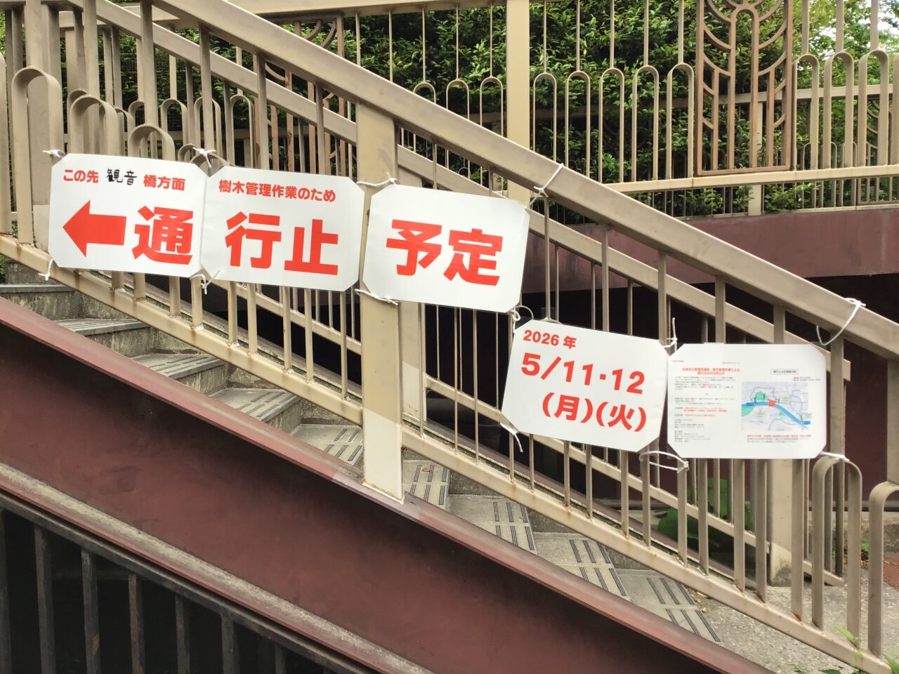 20260501_0430_shakujiigawa02