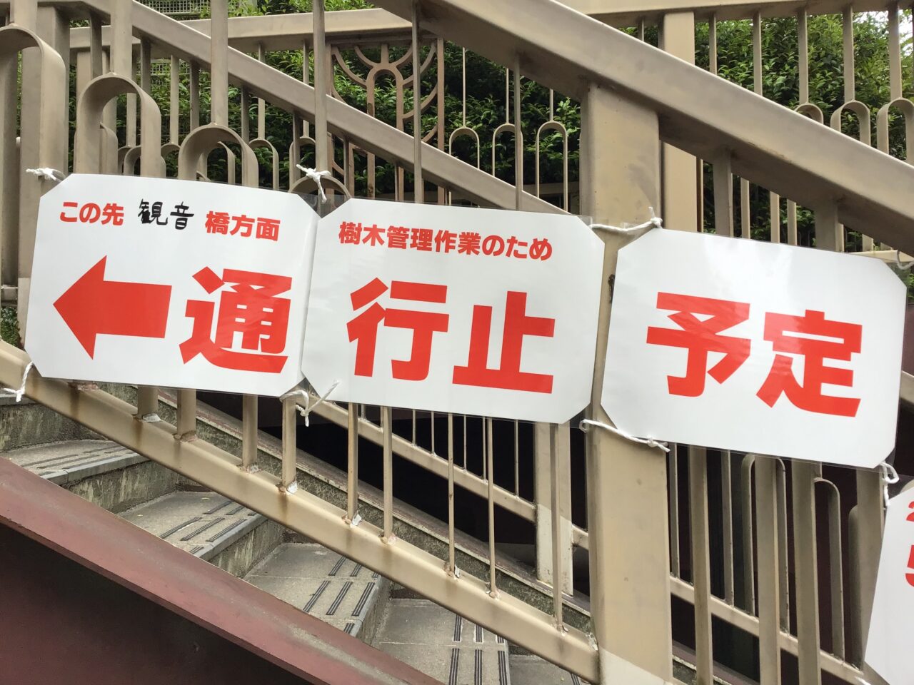 20260501_0430_shakujiigawa05