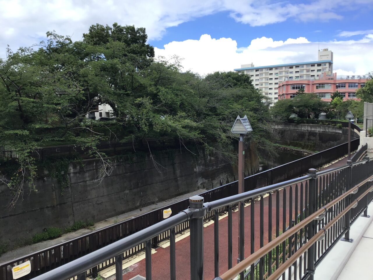20260810_otonashikeyakiryokuchi07