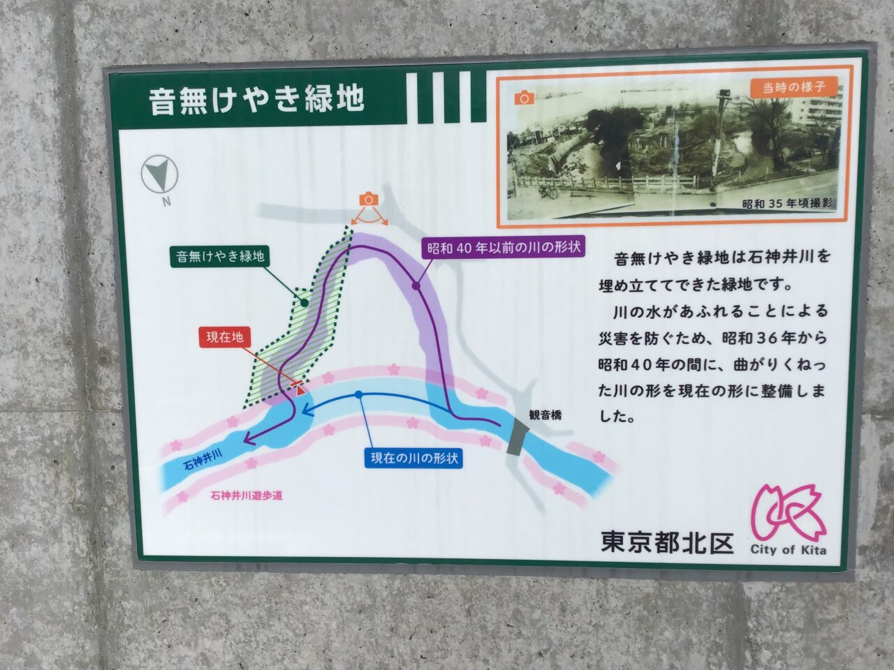 20260810_otonashikeyakiryokuchi13