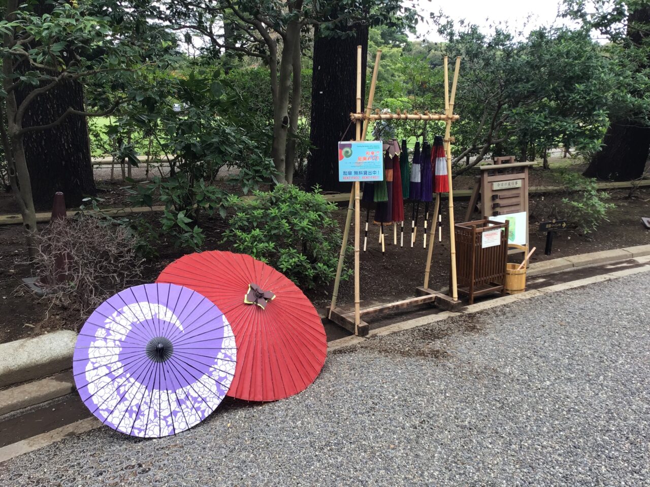 20260824_01_kyuhurukawa02