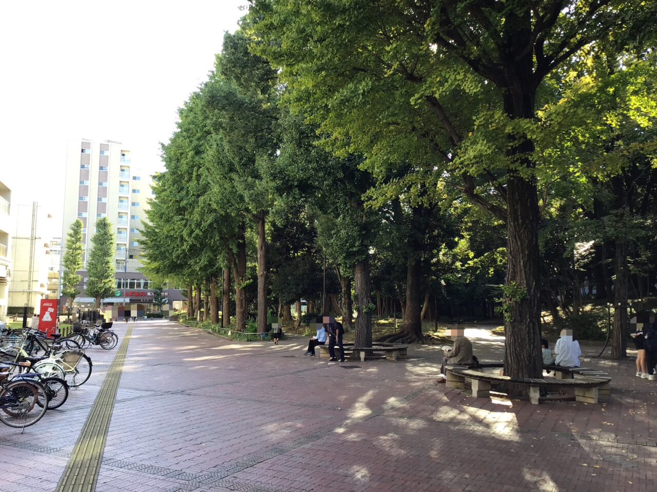 20261019_1018_04_takinogawakouen01